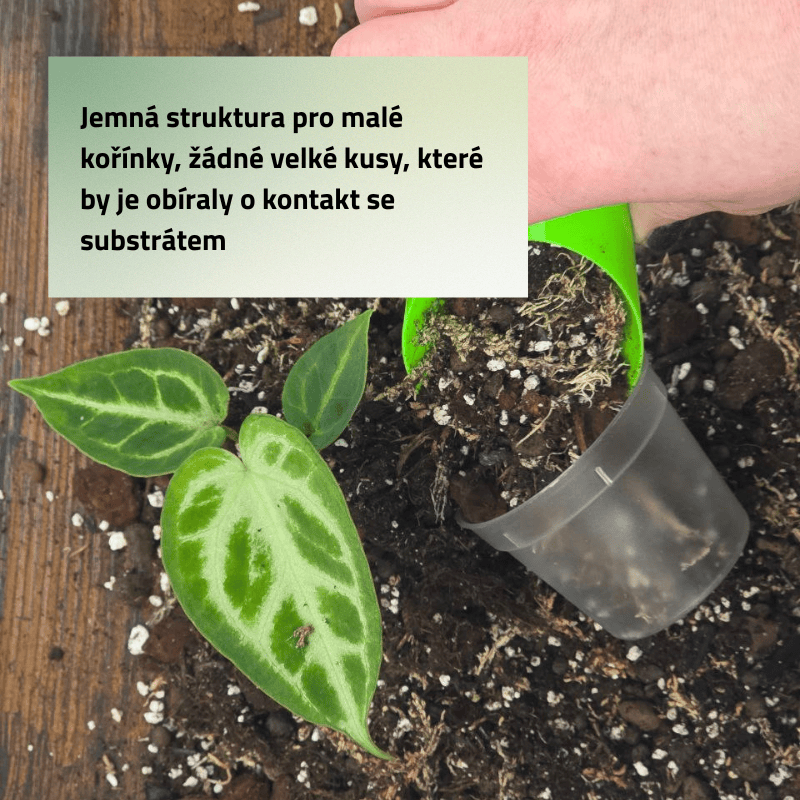 Mix č. 6 Pro mini rostlinky